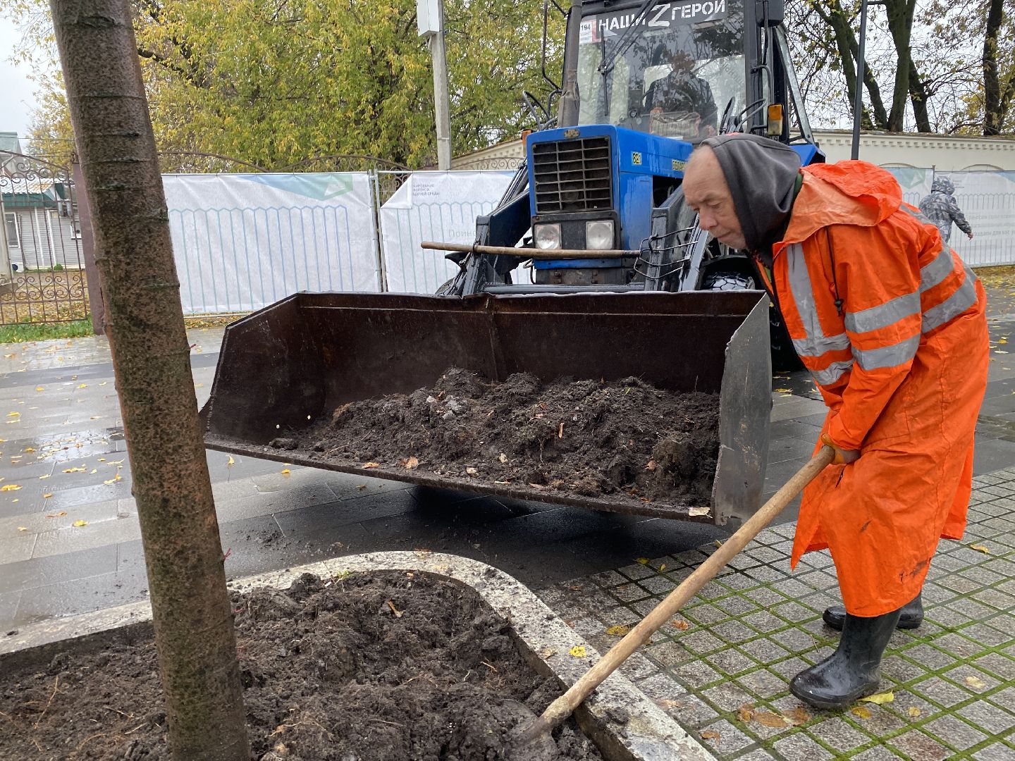 Тюльпаны, Грунт, Клумбы, Сквер,