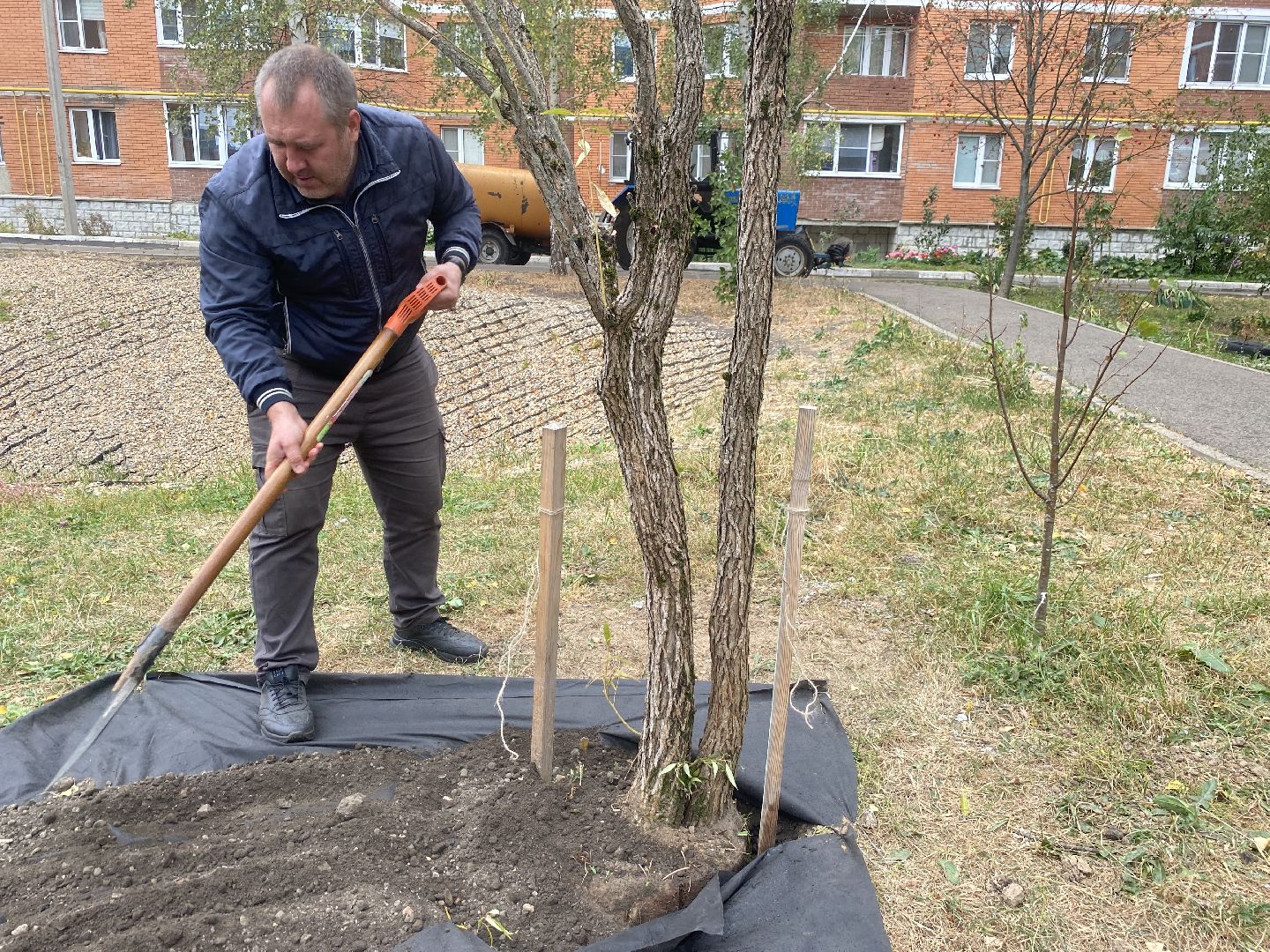 экологическая акция, посадка деревьев, наш лес, посади свое дерево, власиха Березка,
