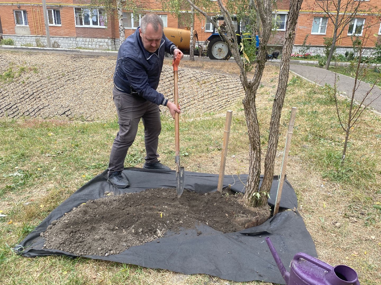 экологическая акция, посадка деревьев, наш лес, посади свое дерево, власиха Березка,