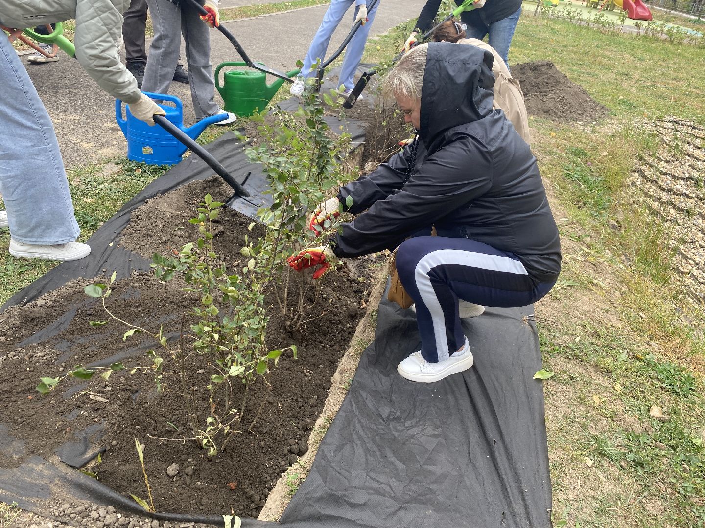 экологическая акция, посадка деревьев, наш лес, посади свое дерево, власиха Березка,