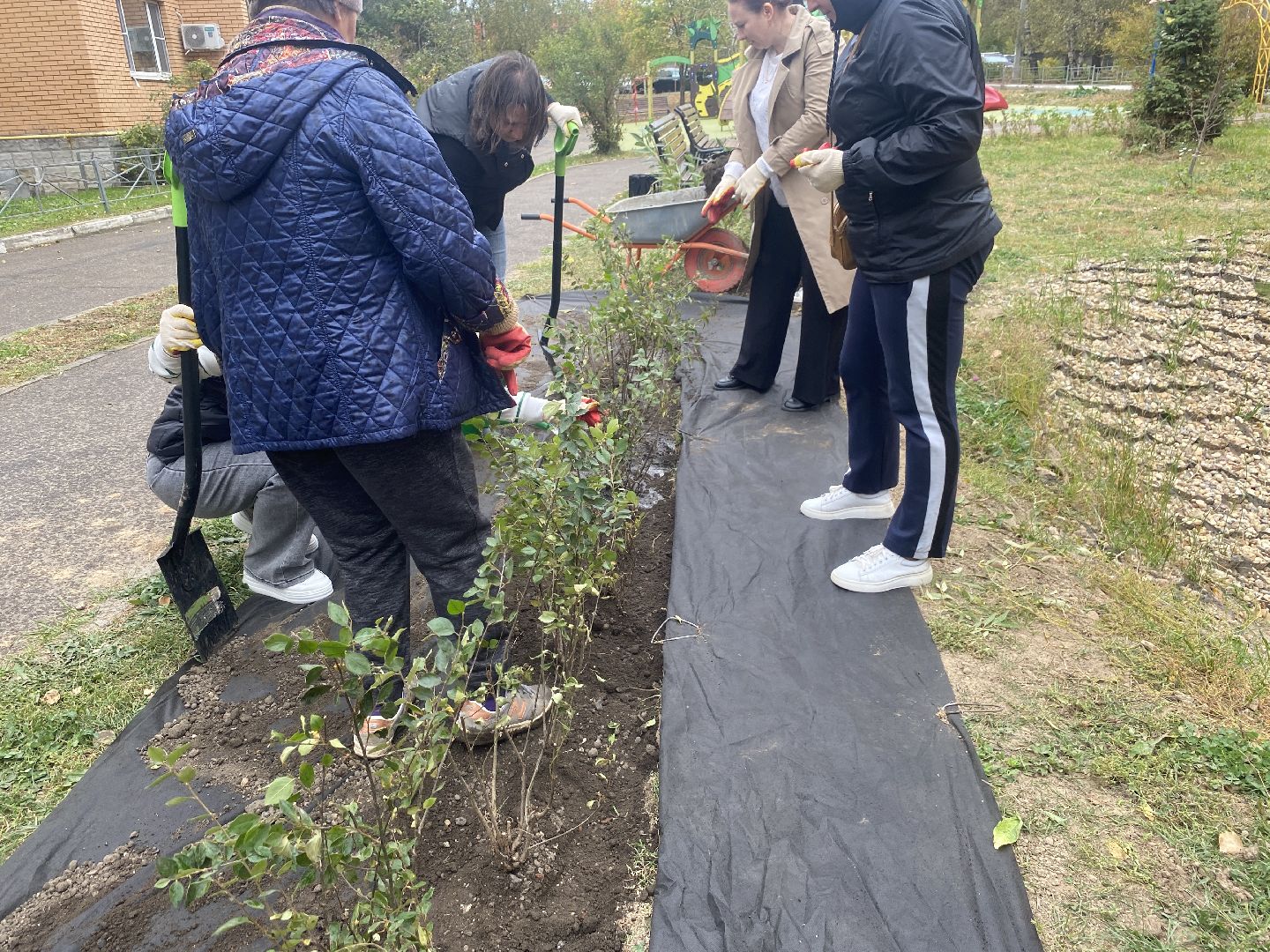 экологическая акция, посадка деревьев, наш лес, посади свое дерево, власиха Березка,
