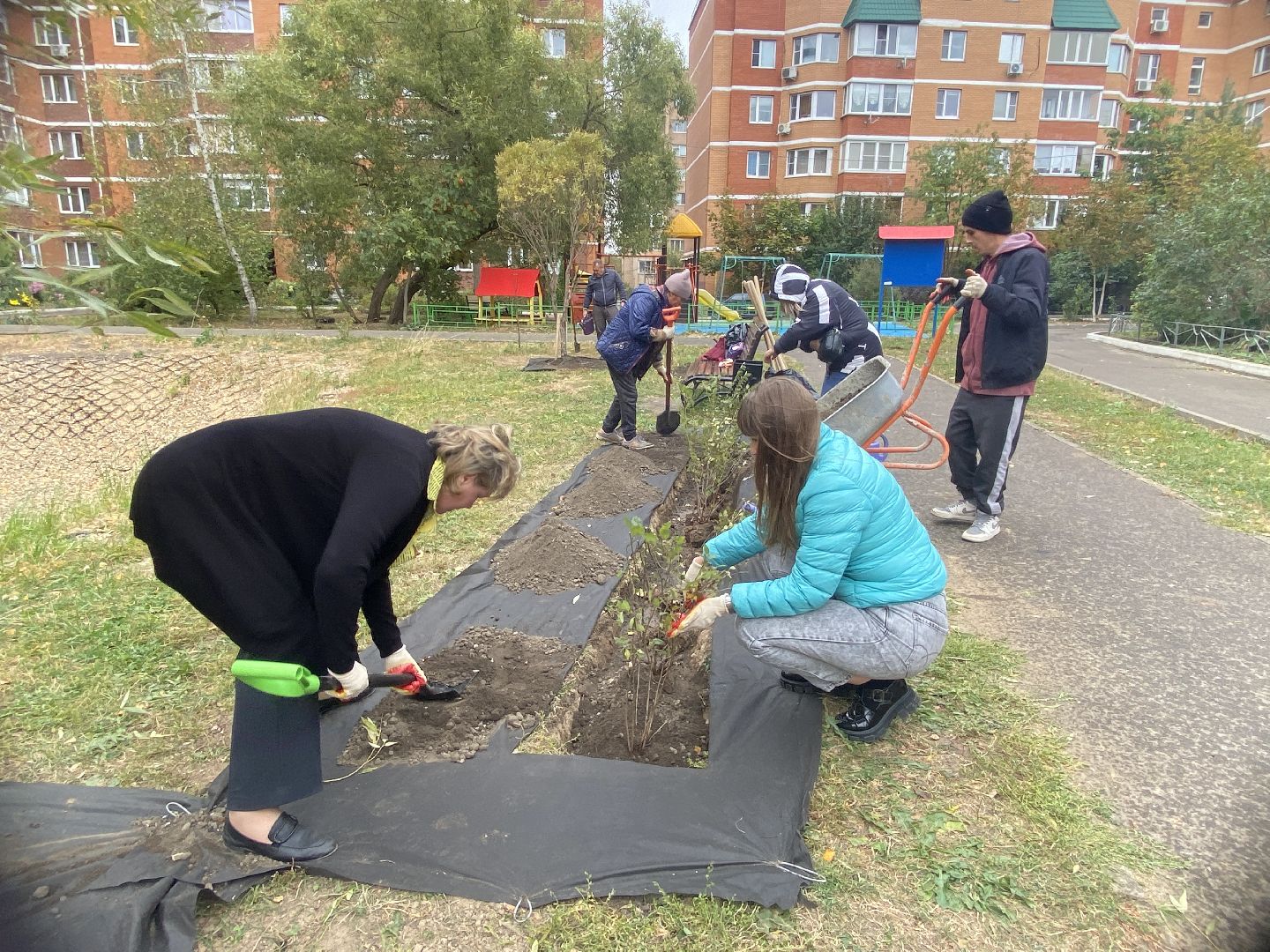 экологическая акция, посадка деревьев, наш лес, посади свое дерево, власиха Березка,