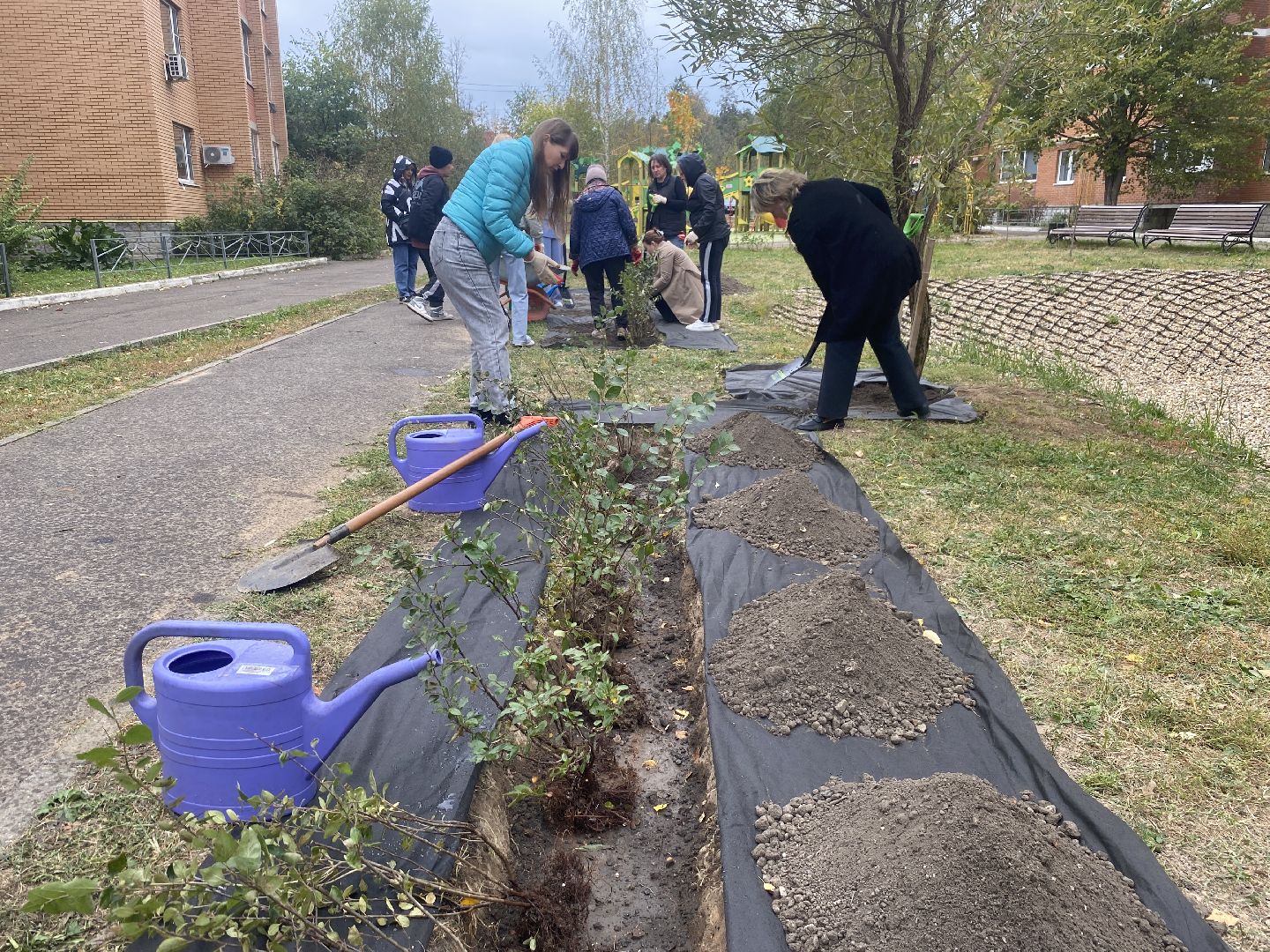 экологическая акция, посадка деревьев, наш лес, посади свое дерево, власиха Березка,