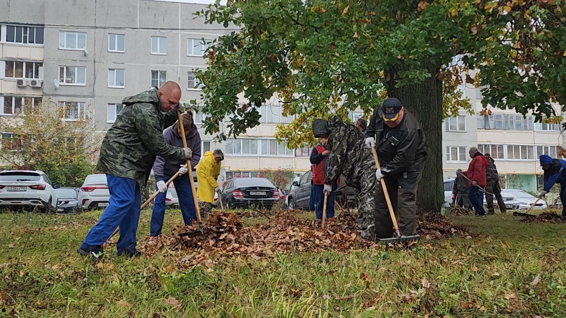 Поселок Горка, Уборка листы, Подготовка к зиме в Бронницах, Уборка опавшей листы в Бронницах,