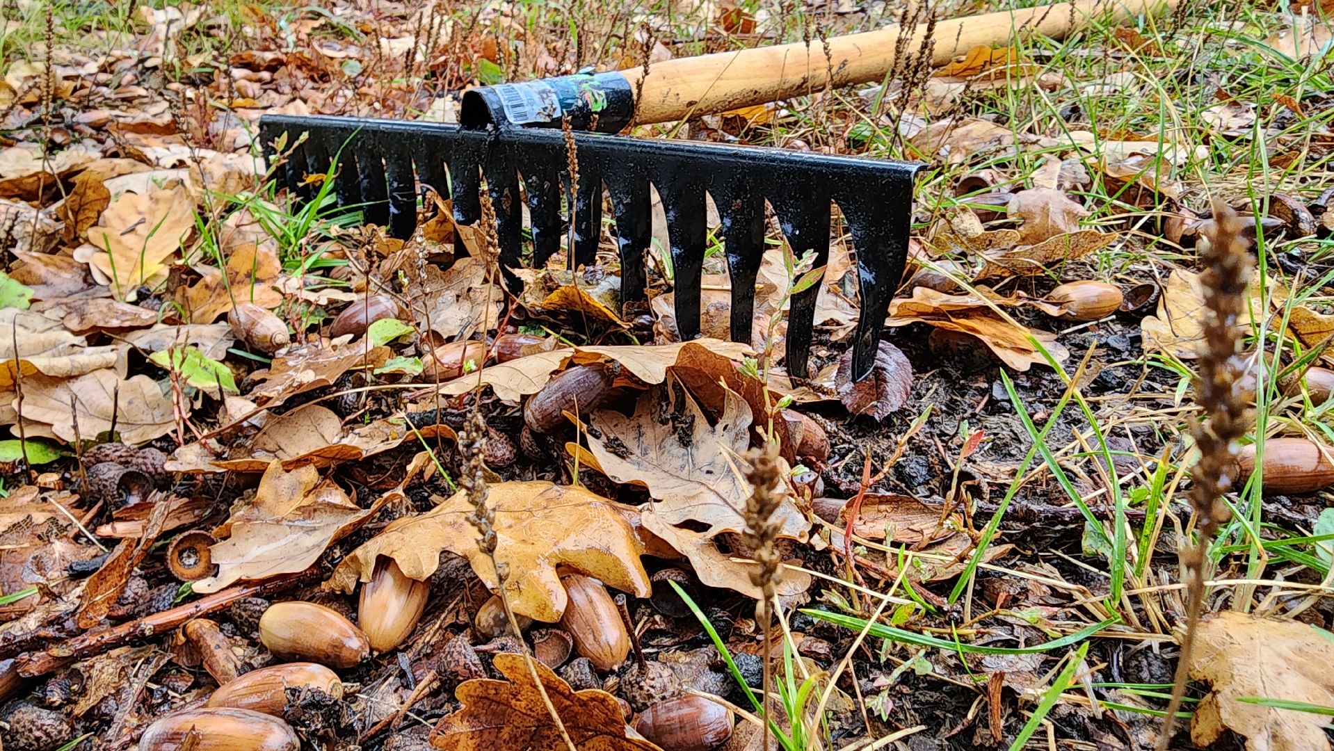 Поселок Горка, Уборка листы, Подготовка к зиме в Бронницах, Уборка опавшей листы в Бронницах,