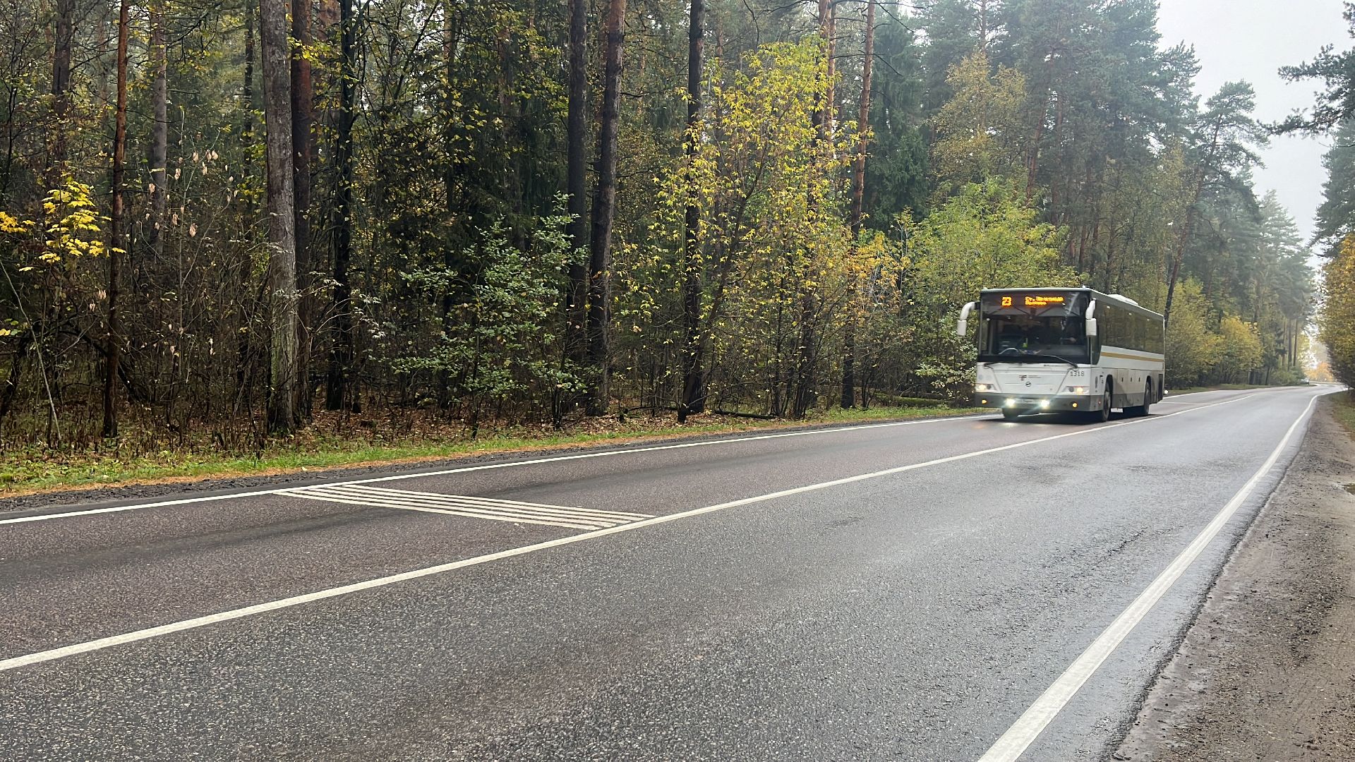 дороги, безопасное движение, безопасность движения, искусственная неровность, искусственные дорожные неровности, шумовые полосы,