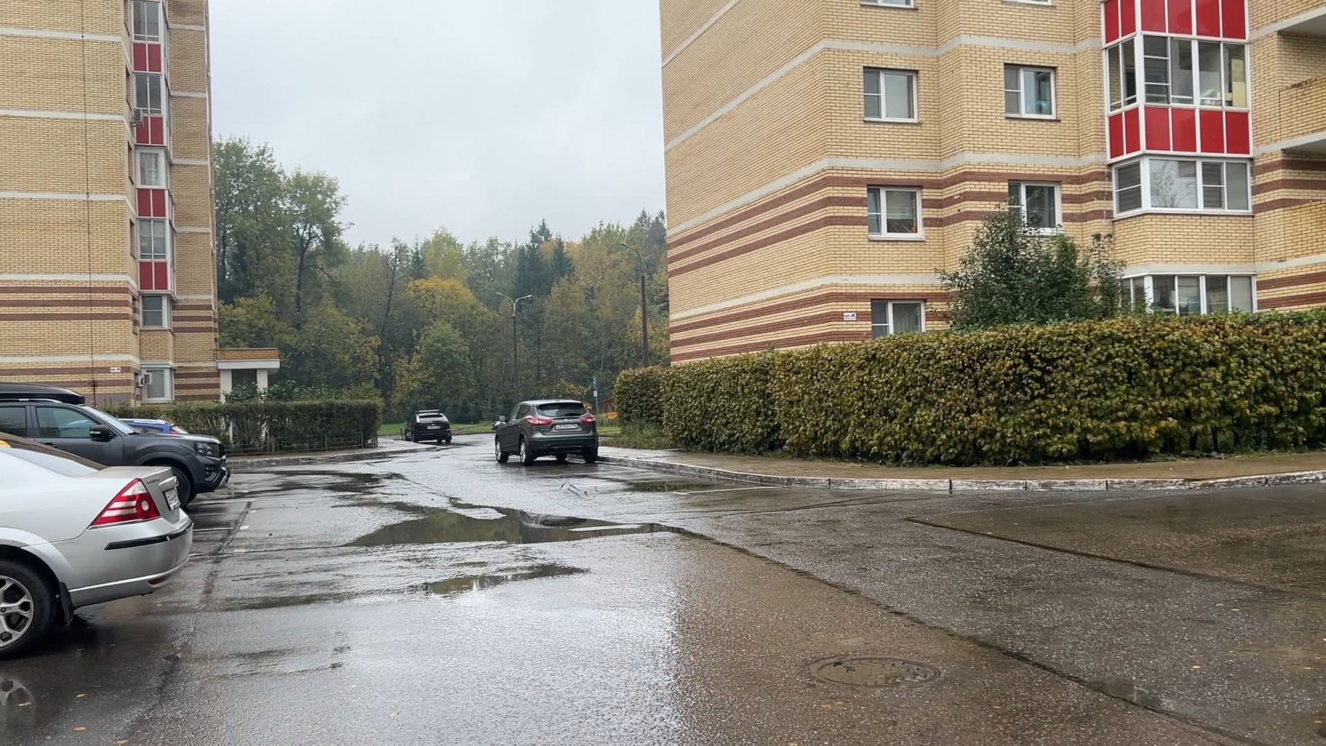 комплексное благоустройство власиха, благоустройство территории, власиха Школьный, Власиха Тополек, обход территории власиха,