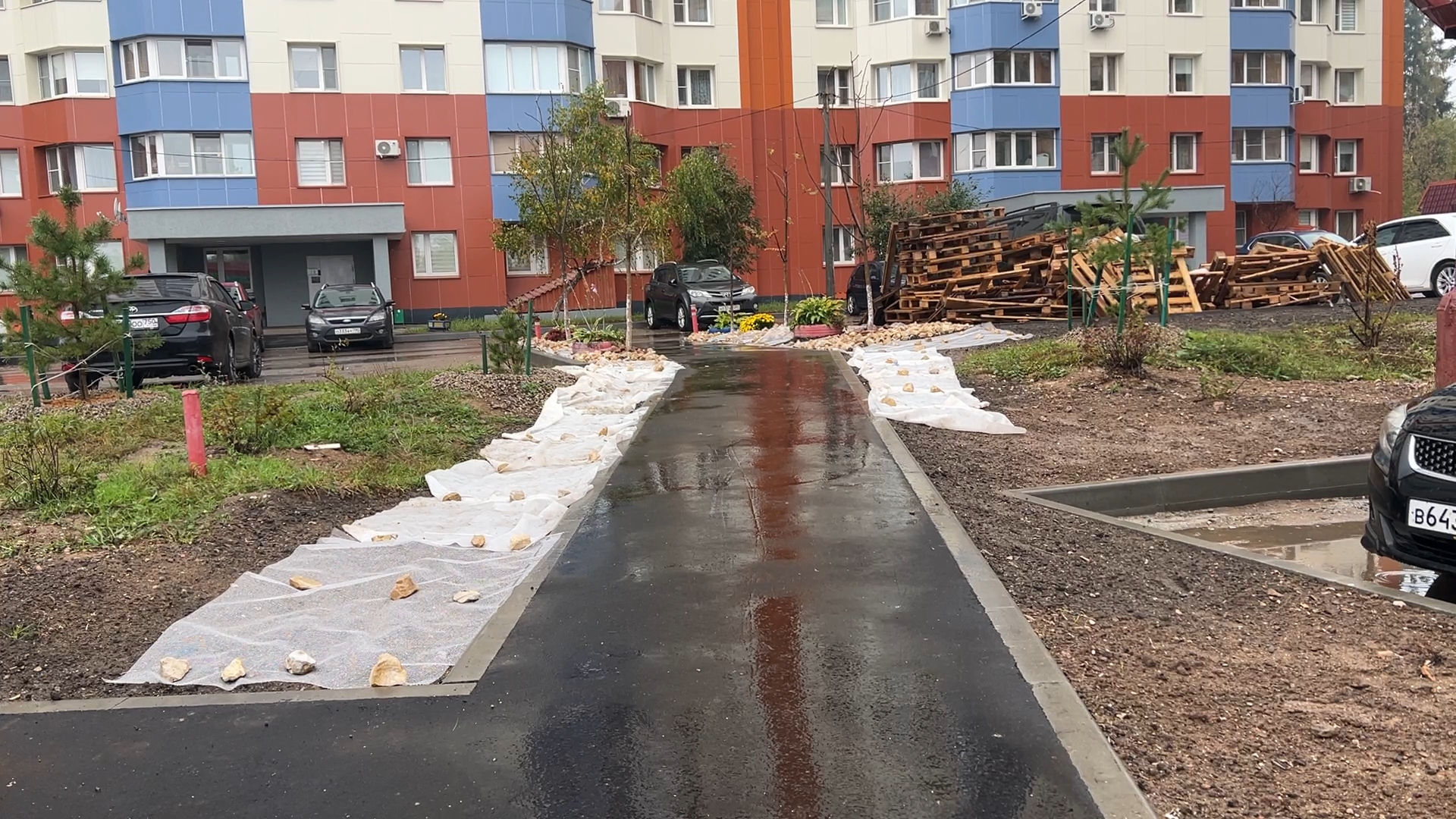 комплексное благоустройство власиха, благоустройство территории, власиха Школьный, Власиха Тополек, обход территории власиха,