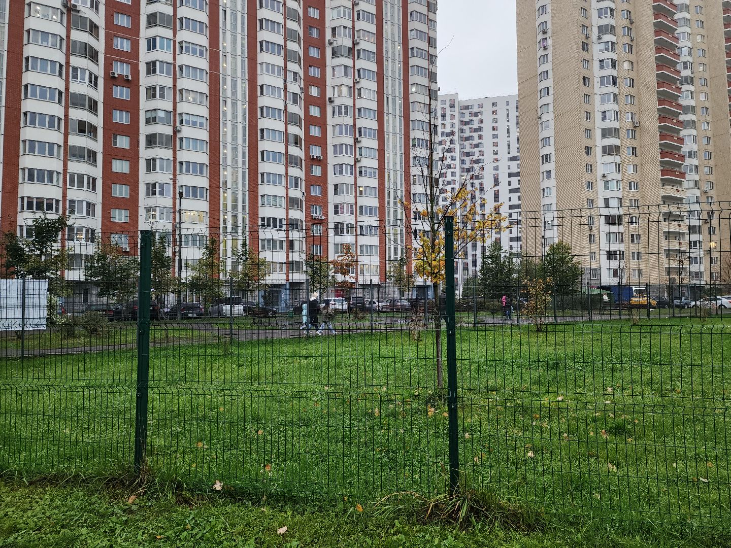 выездная администрация, красногорск, путилково,