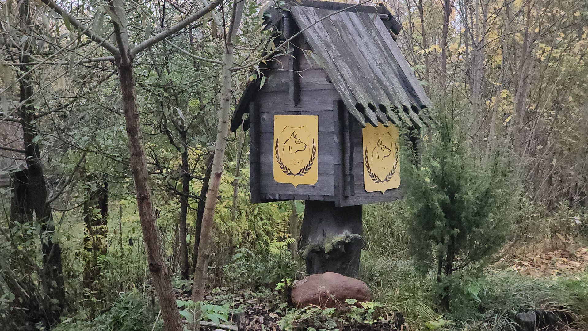 долгопрудный, x-легион, фронтовая собака, Премия МЫВМЕСТЕ, кинологи,грант,