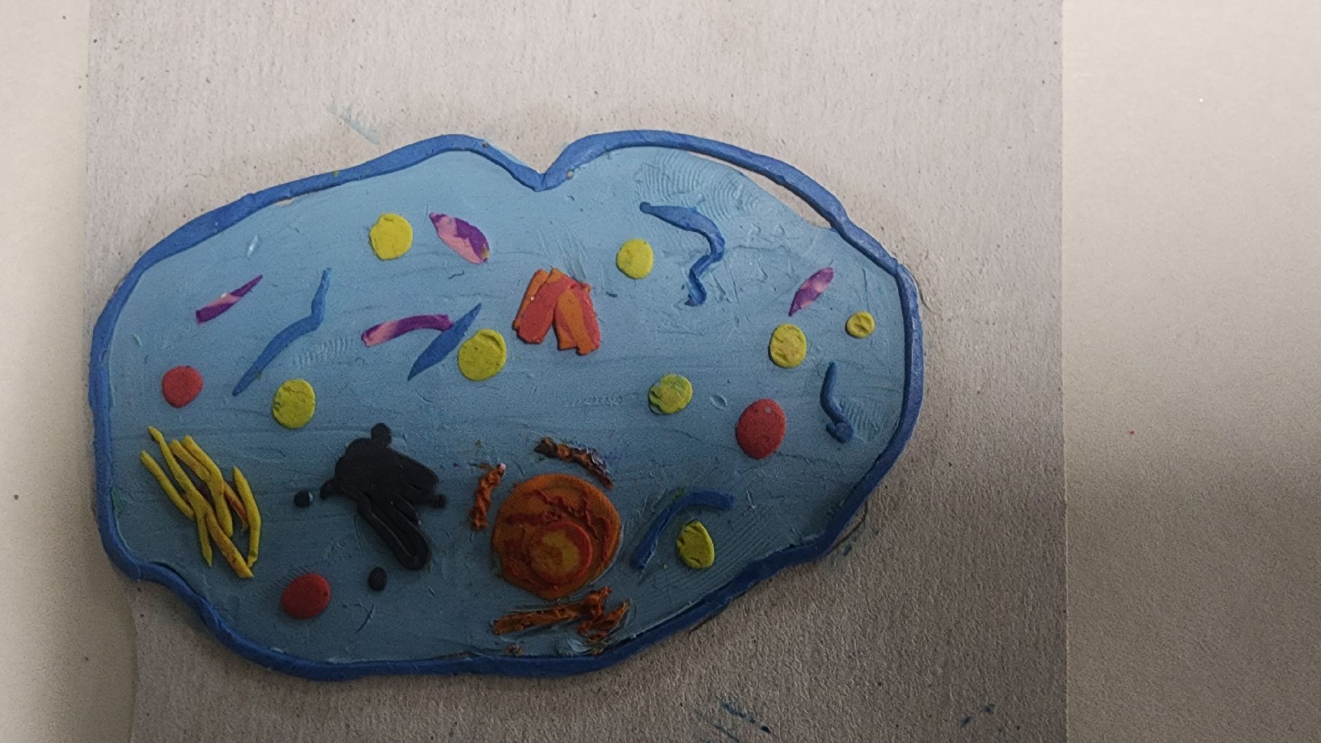 Звенигород, образование в подмосковье, Адаптация к школе, психология,