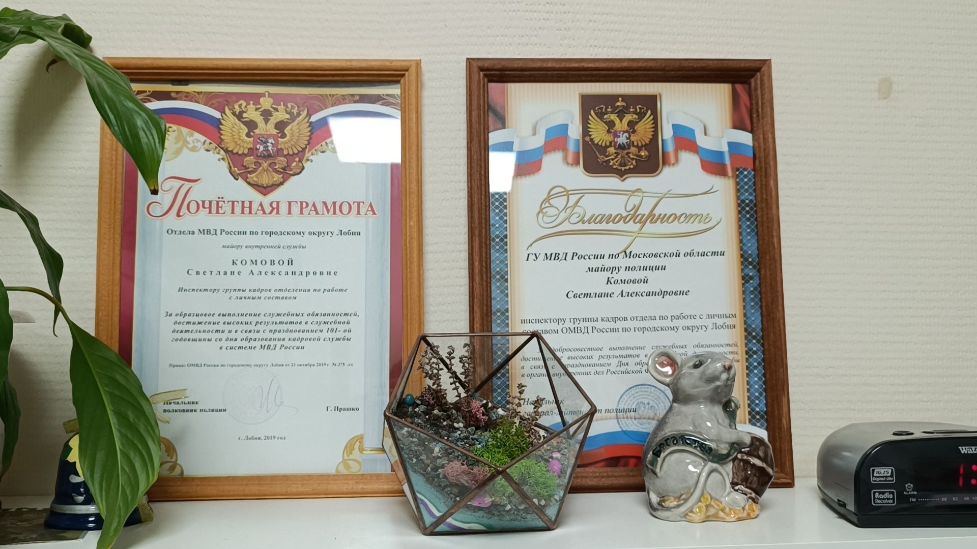 полиция, лобня, общество,