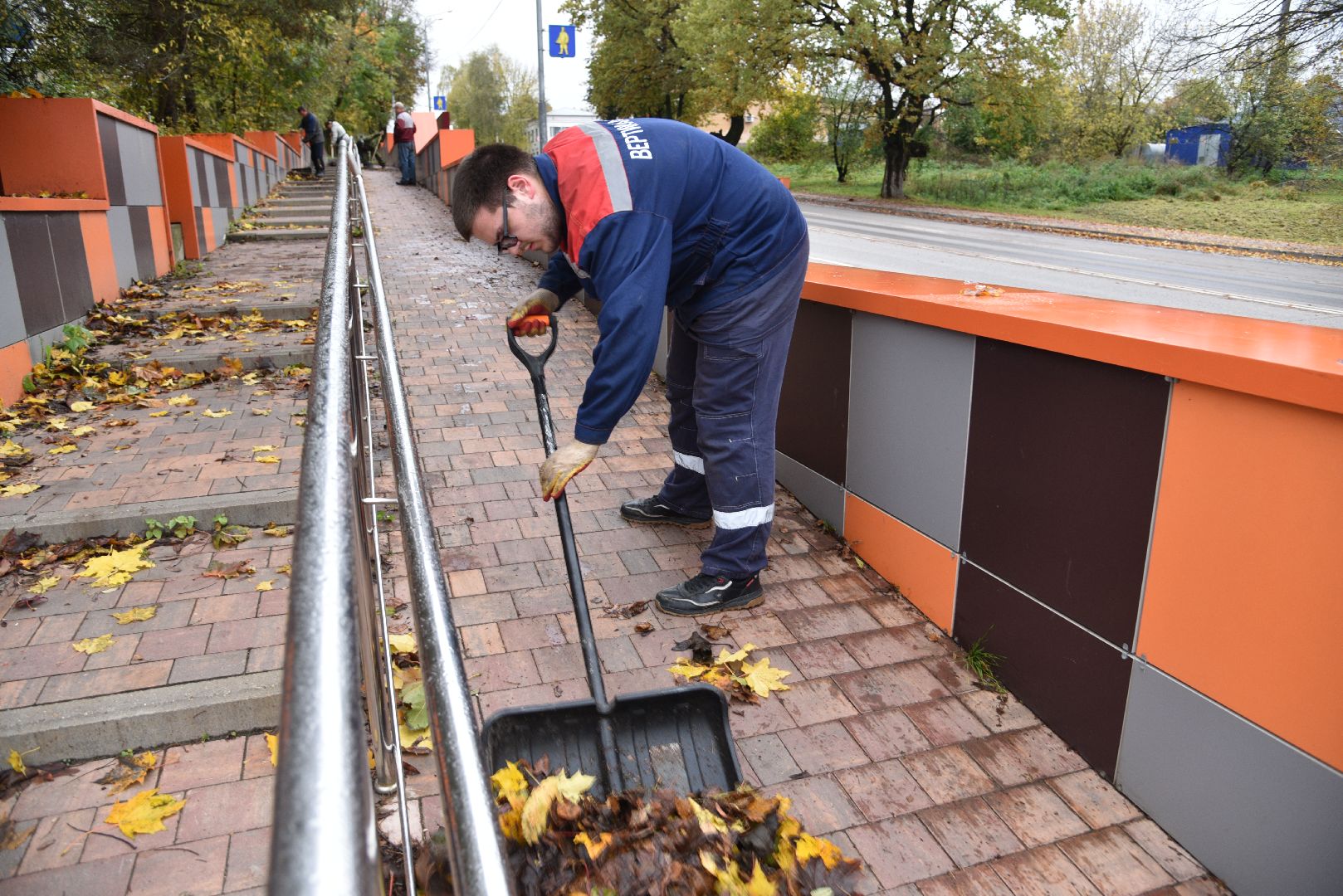 лотошино, добродел, благоустройство, обращения жителей, цур,