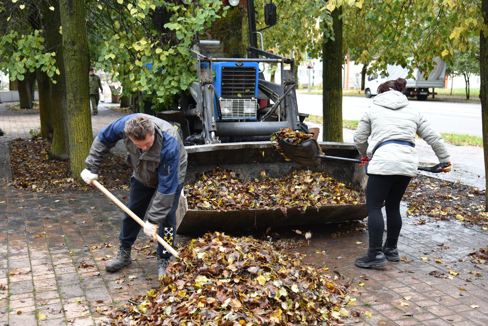 лотошино, добродел, благоустройство, обращения жителей, цур,
