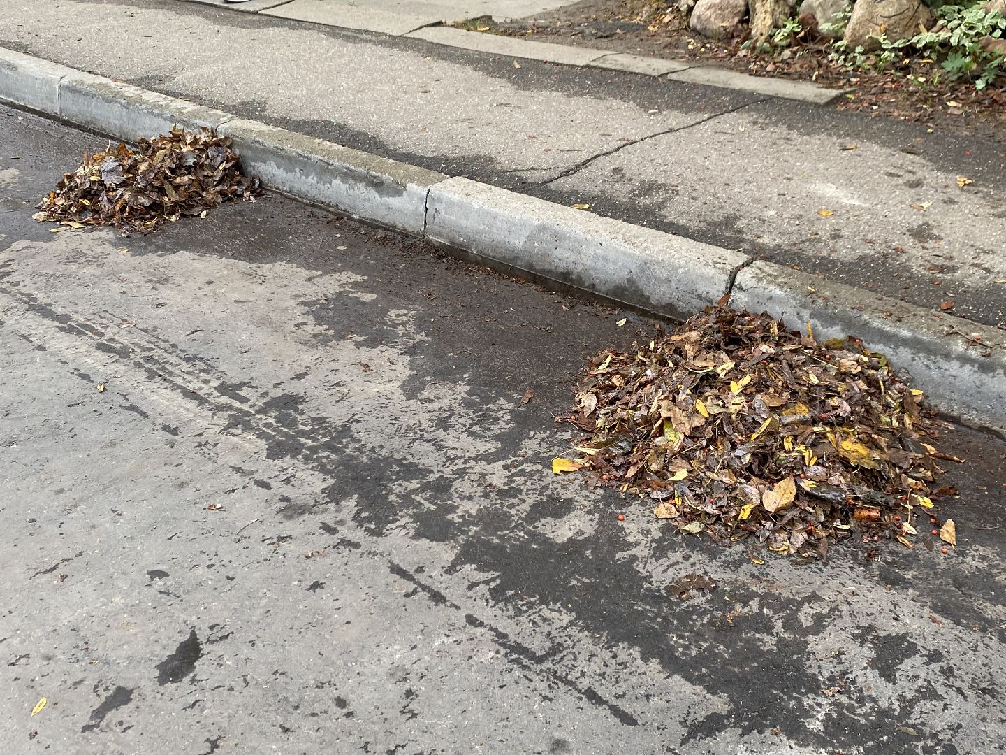 Листья, Осень, Уборка,