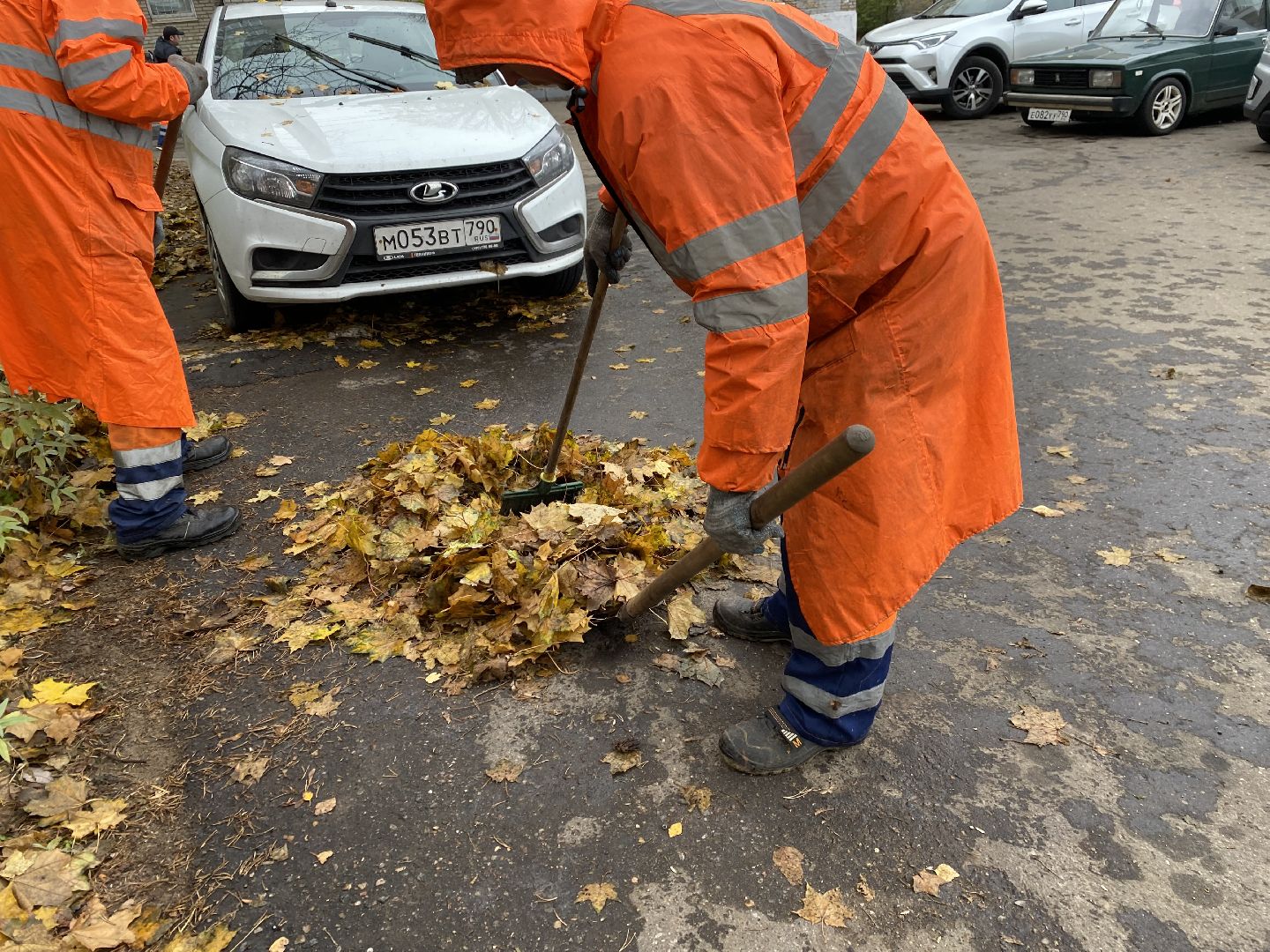 Листья, Осень, Уборка,