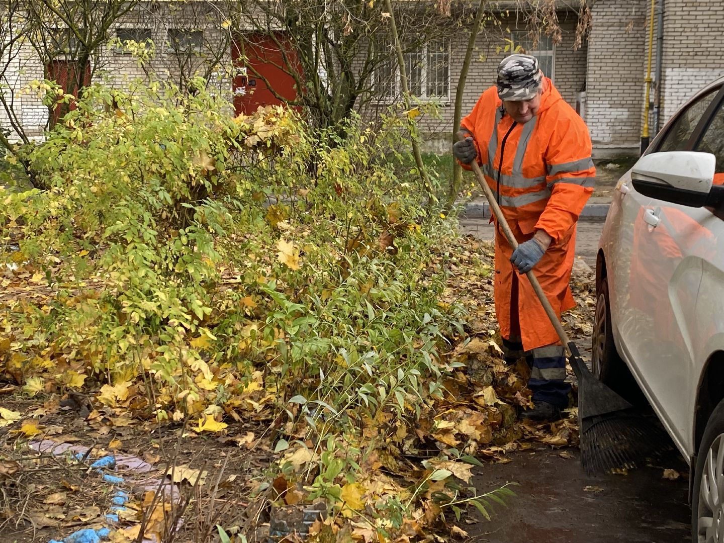 Листья, Осень, Уборка,