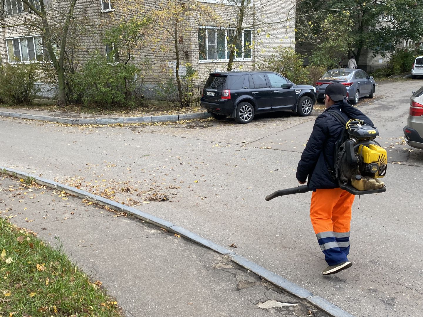 Листья, Осень, Уборка,