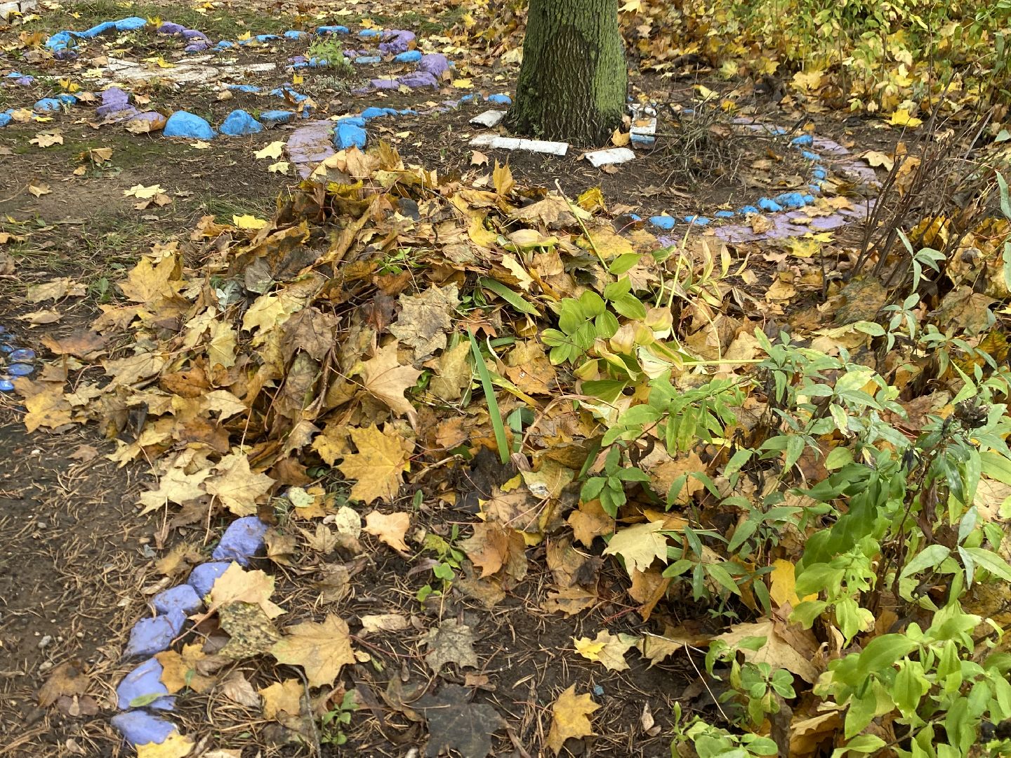 Листья, Осень, Уборка,