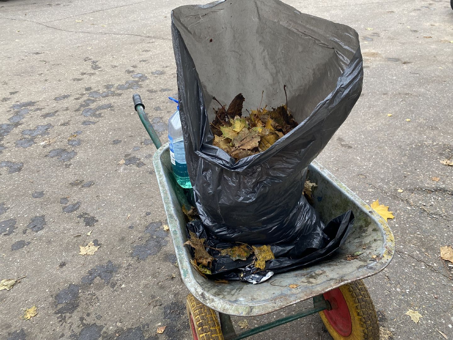 Листья, Осень, Уборка,