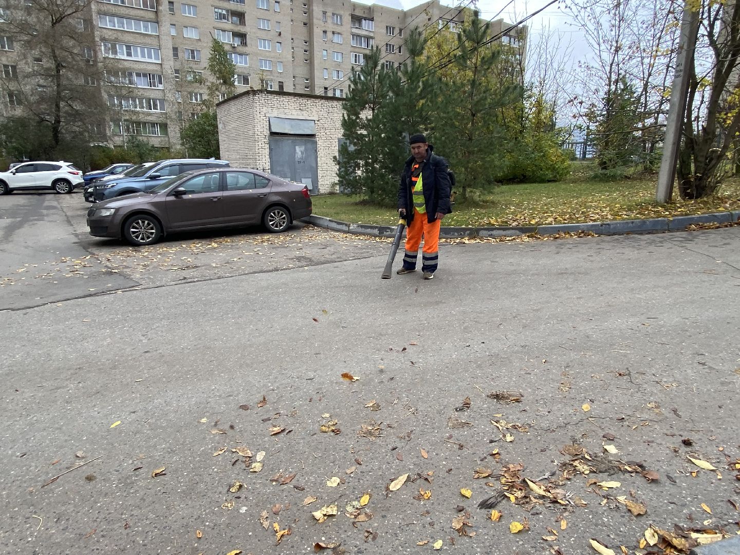 Листья, Осень, Уборка,