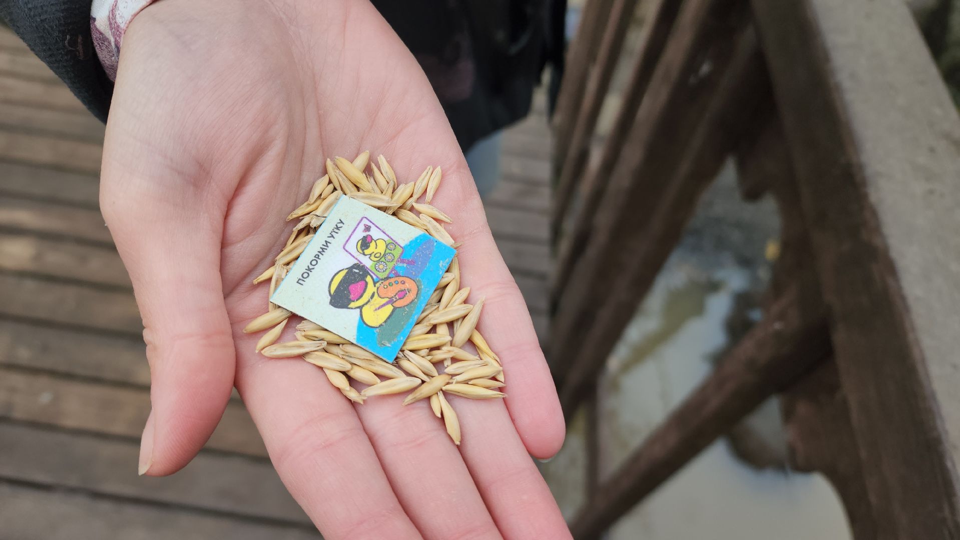 корм для уток, автоматы с кормом,Лобня,