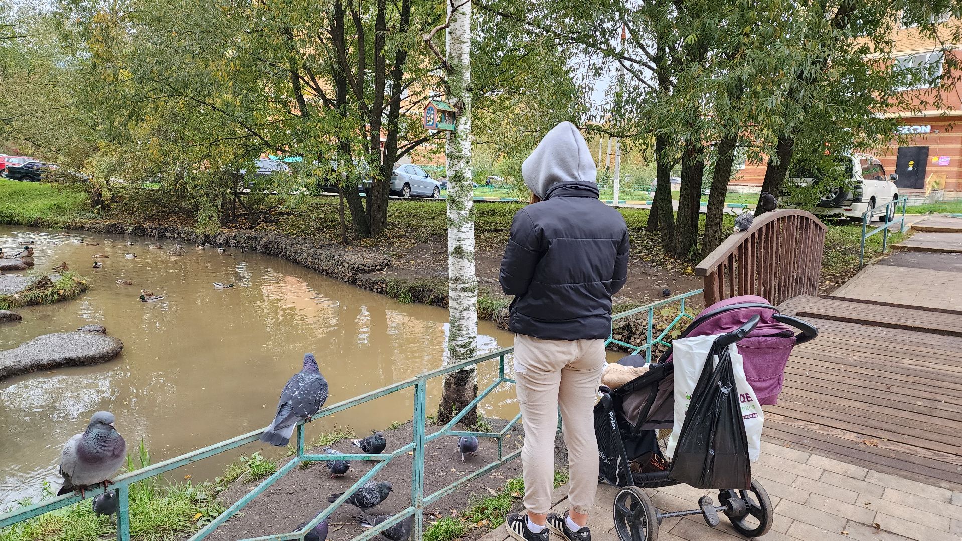 корм для уток, автоматы с кормом,Лобня,