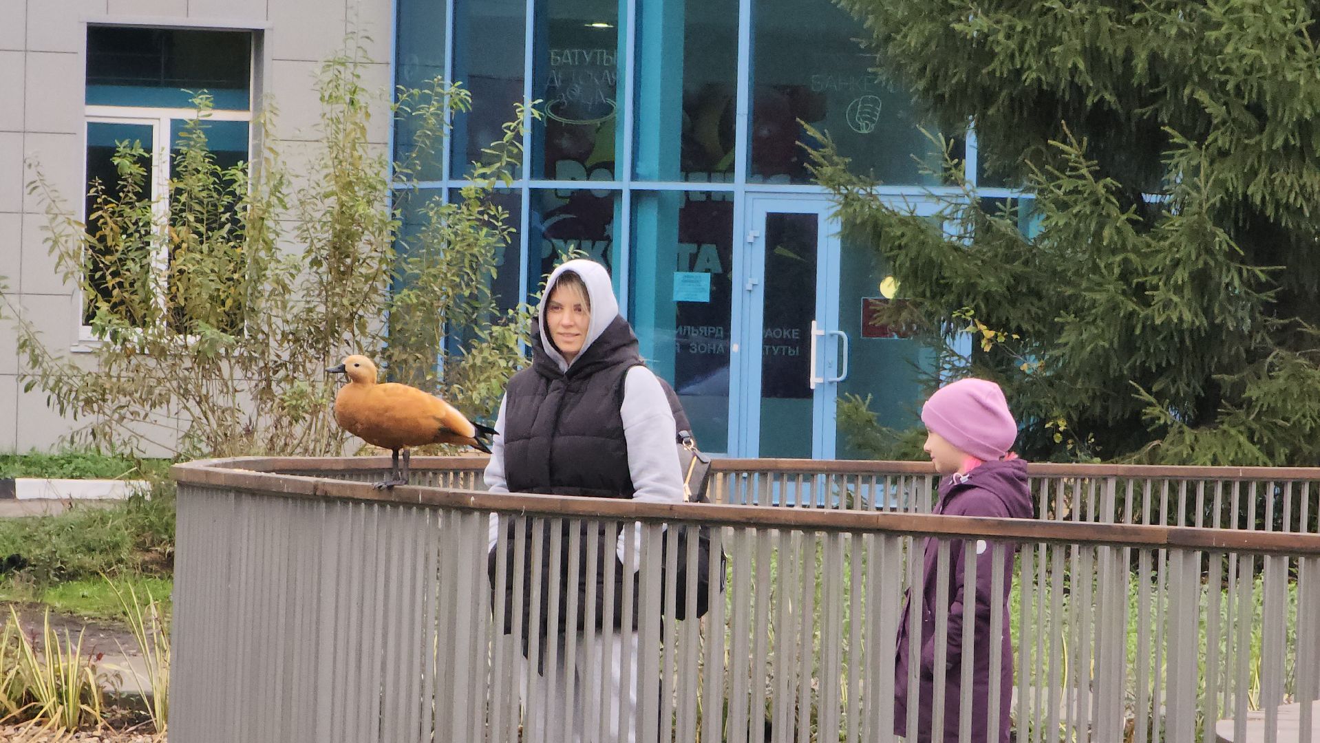 корм для уток, автоматы с кормом,Лобня,