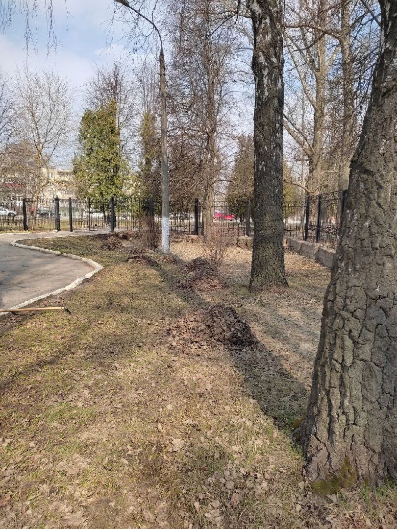 Кашира, ЦДТ, субботник, экология