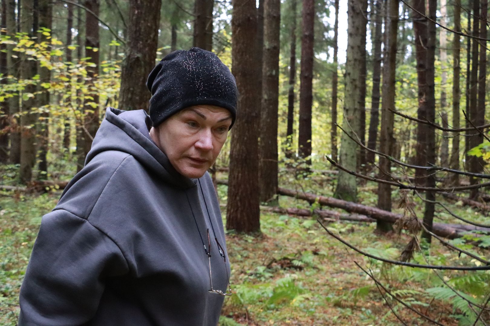 лес, грибы, экология подмосковья,