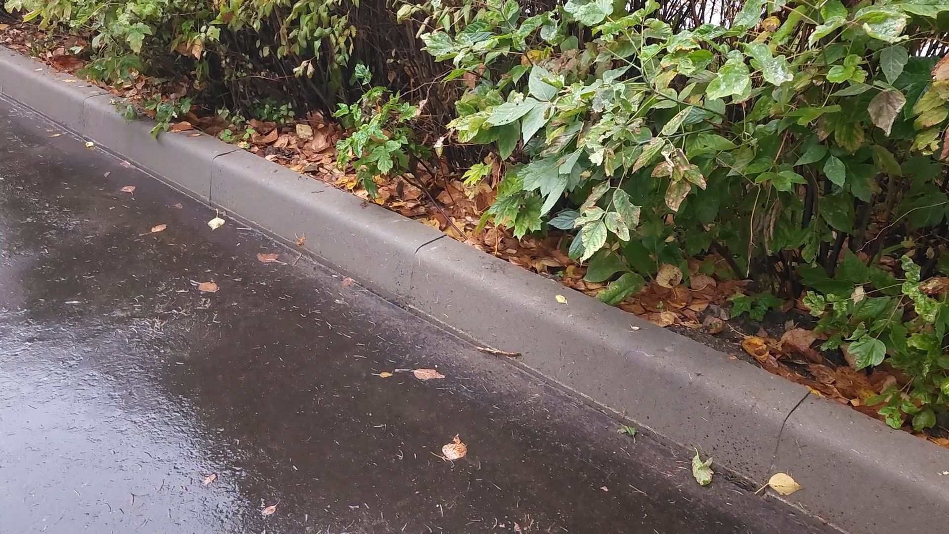 котельники, благоустройство, детская площадка, дорога, капитальный ремонт,