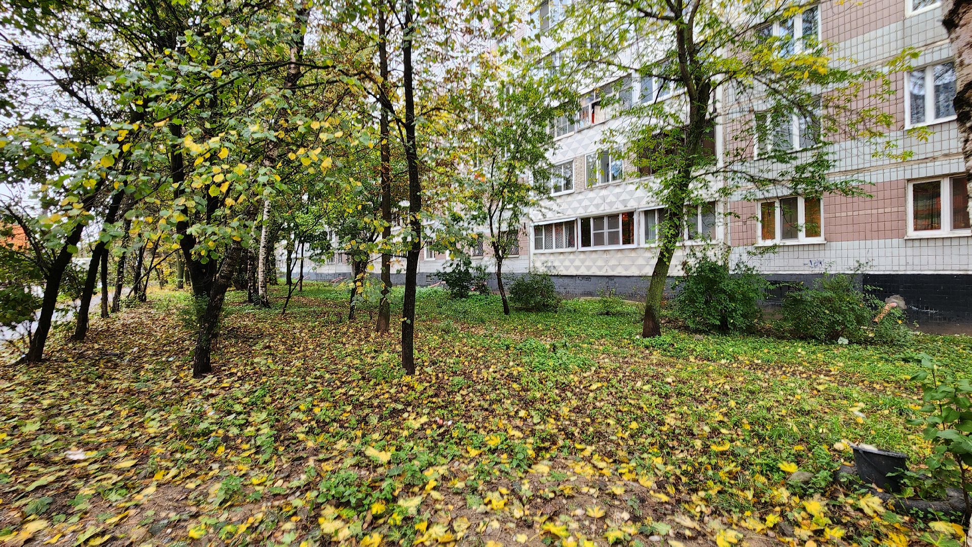 солнечногорск, Уборка территории, добродел, Микрорайон Рекинцо,