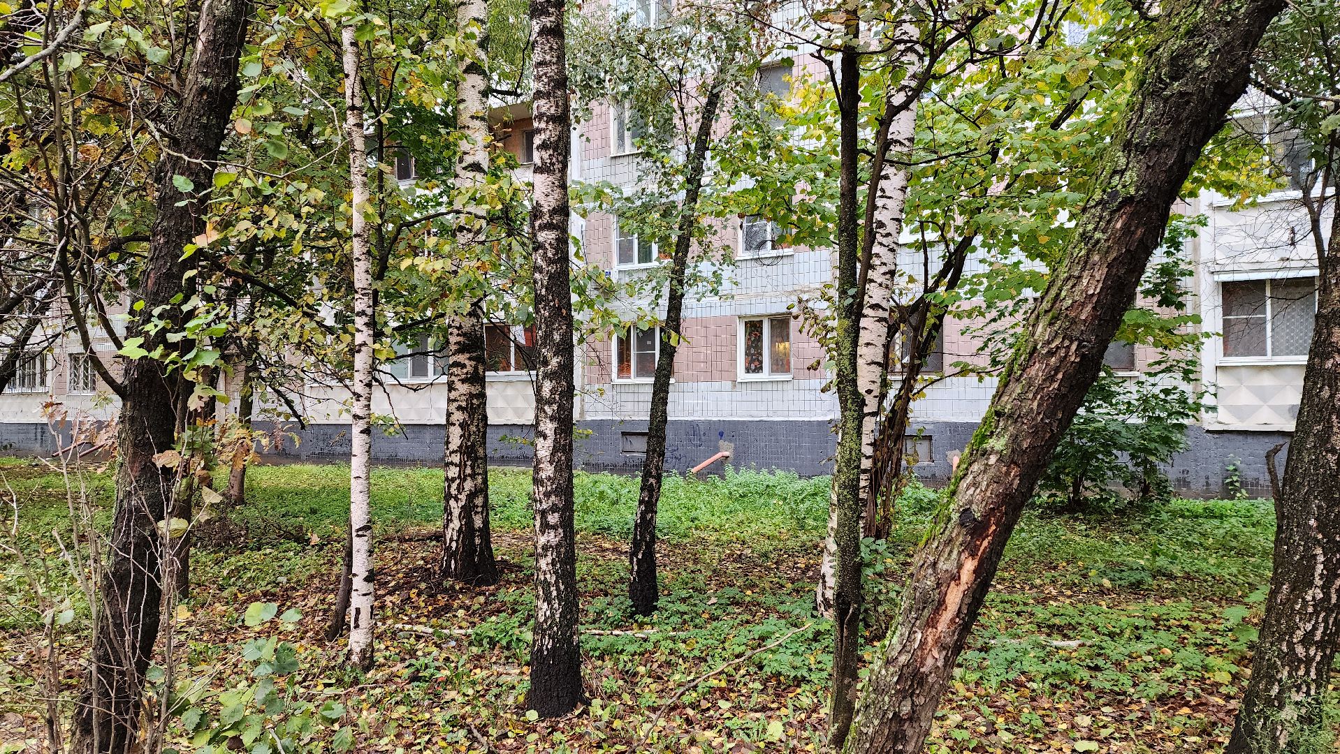 солнечногорск, Уборка территории, добродел, Микрорайон Рекинцо,