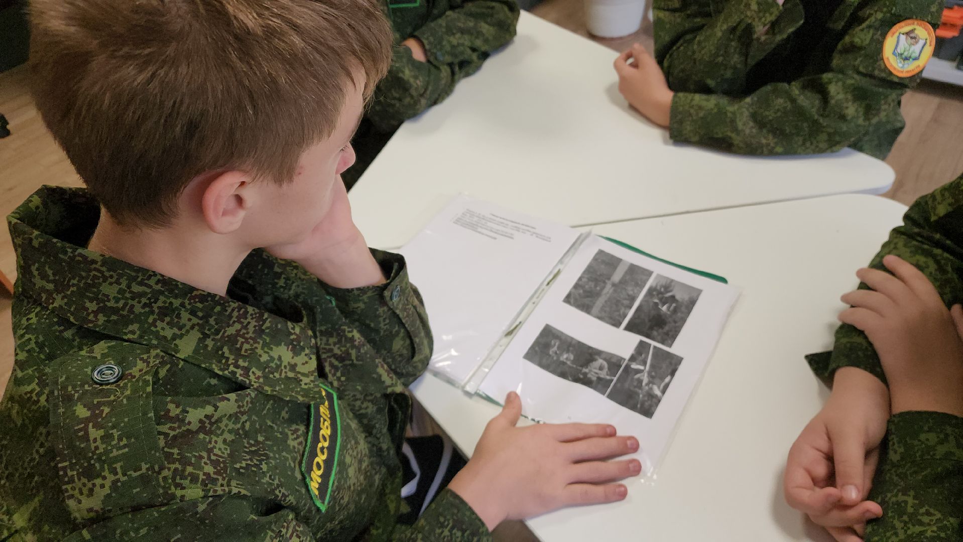 ступино, школьные лесничие, образование в подмосковье,