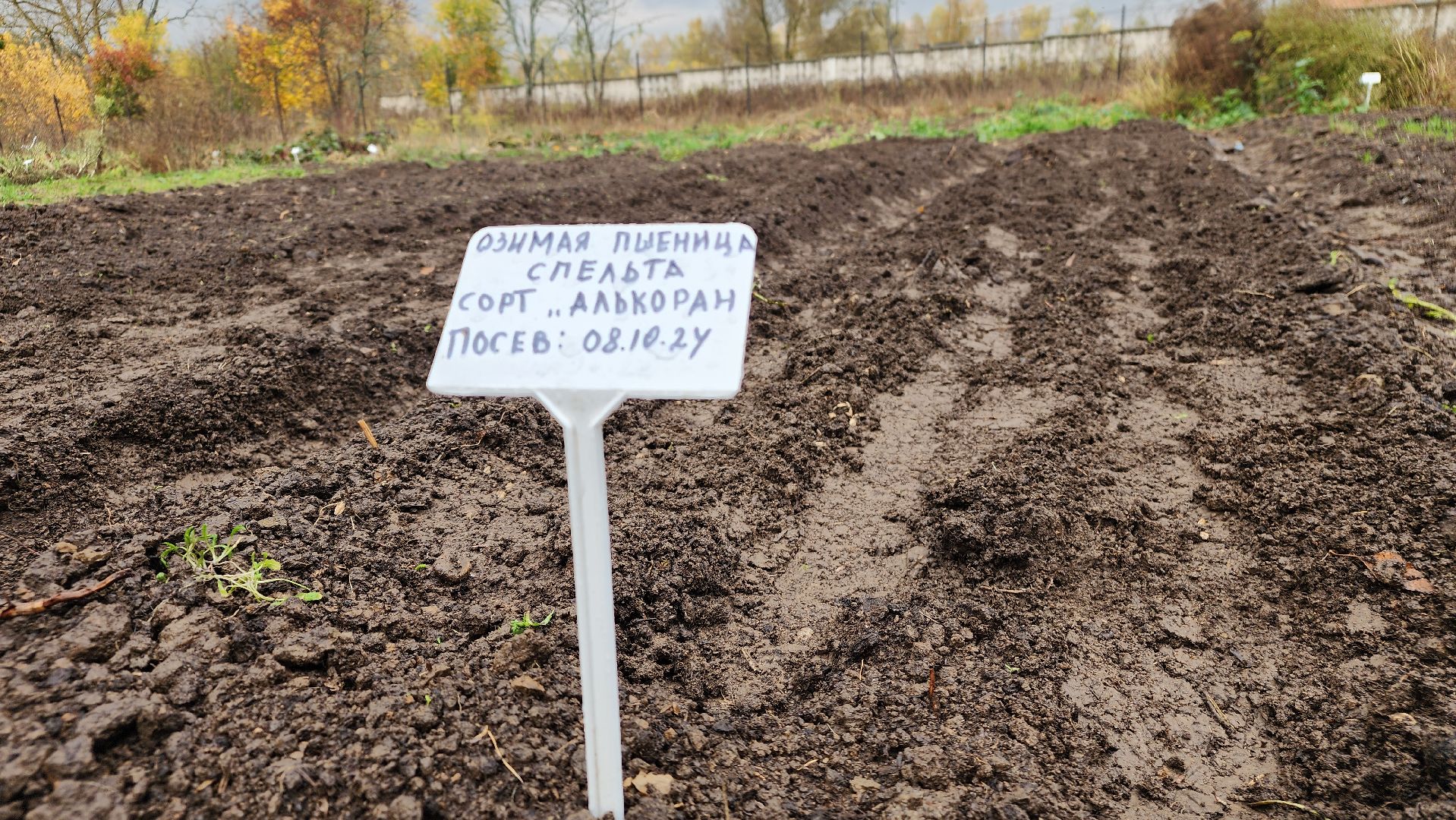 ступино, образование в подмосковье, агроклассы,