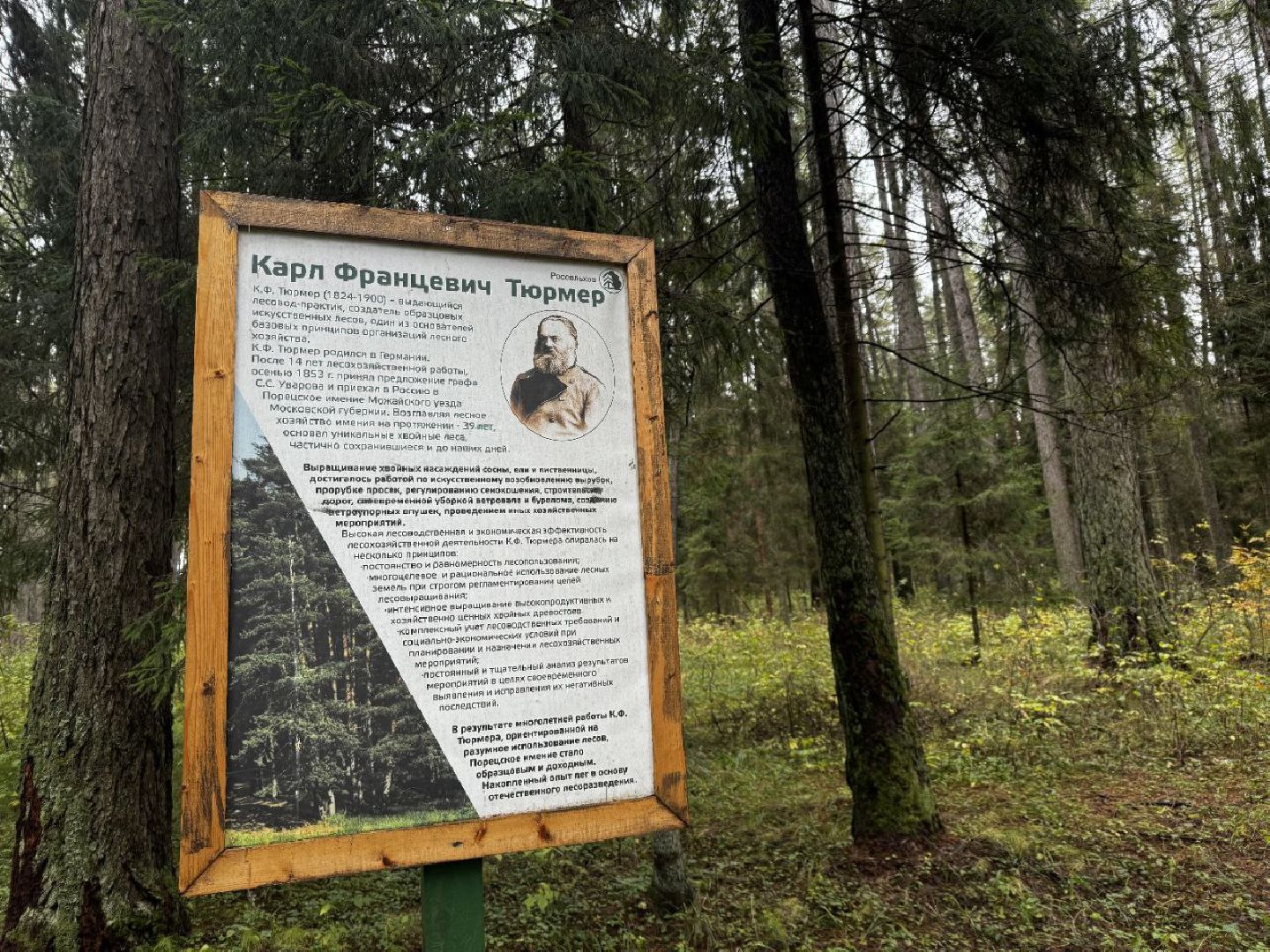 можайск, можайский городской округ, карл тюрмер, лесничий, лесное хозяйство, памятник, тюрмеровский лес, передовые методы лесопользования,восстановление лесов,