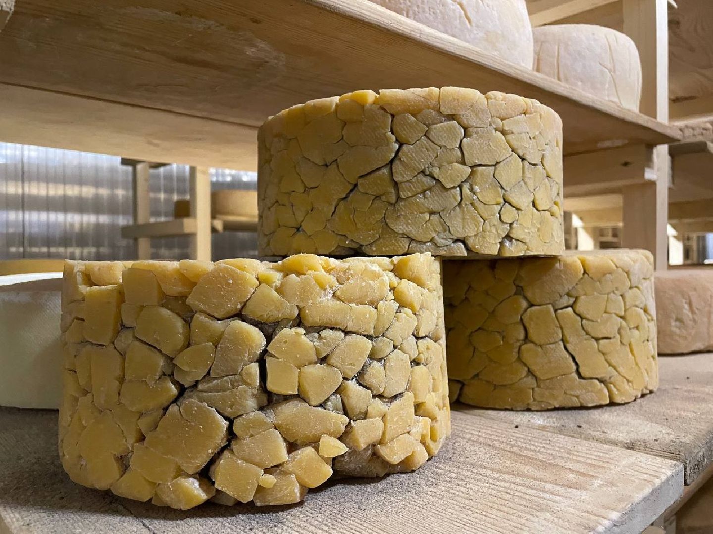 Дмитров, КФХ Свободный труд, Рамиль Булатов, Минсельхоз,