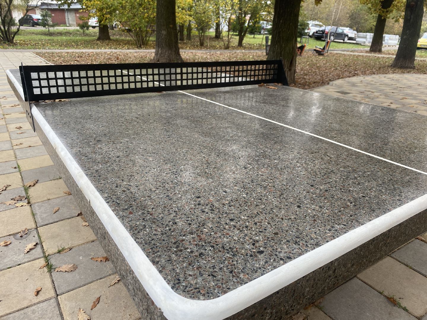 теннисный стол, спорт во дворе, спорт во власихе, установка теннисного стола, занятия спортом,