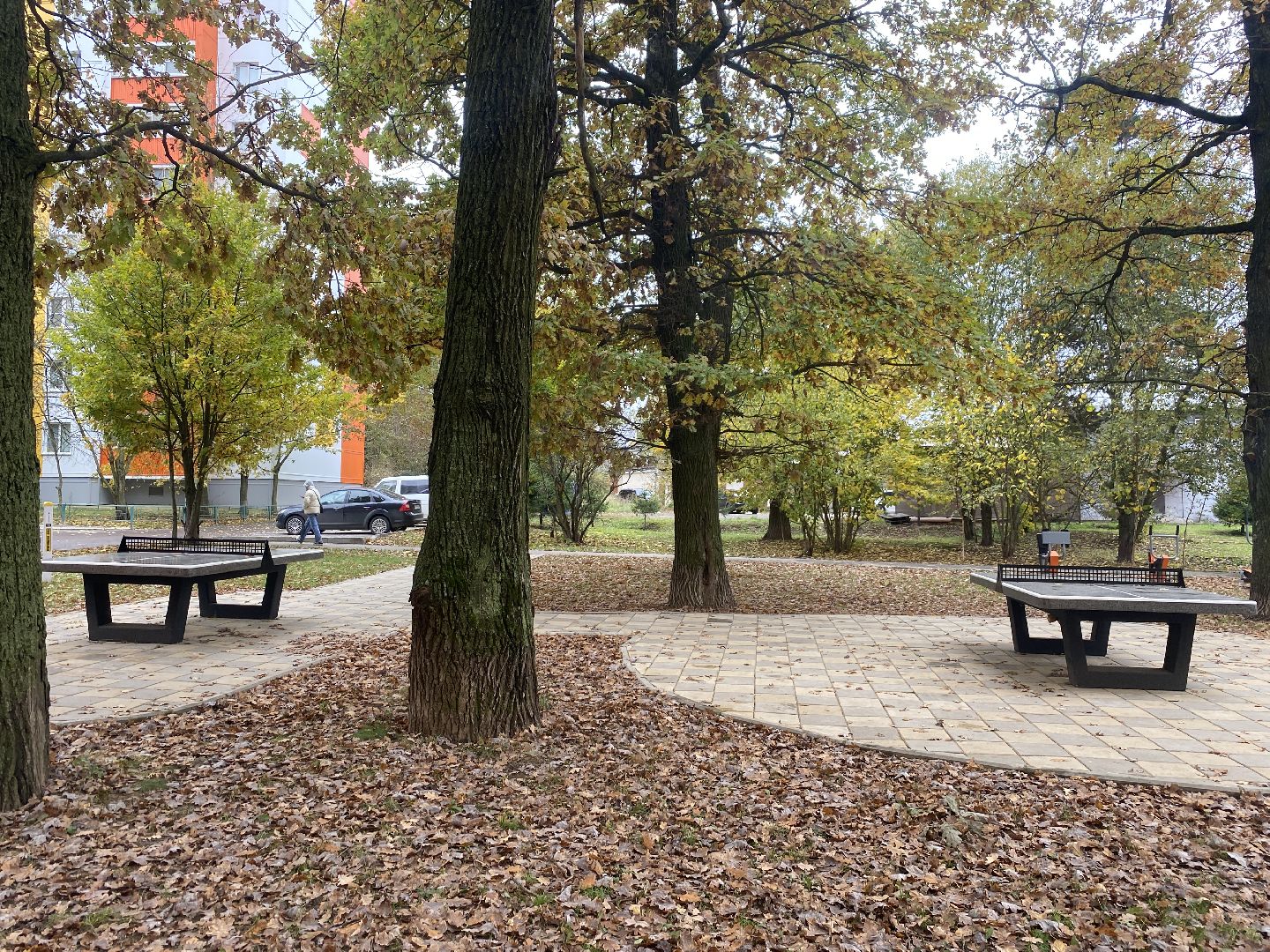 теннисный стол, спорт во дворе, спорт во власихе, установка теннисного стола, занятия спортом,