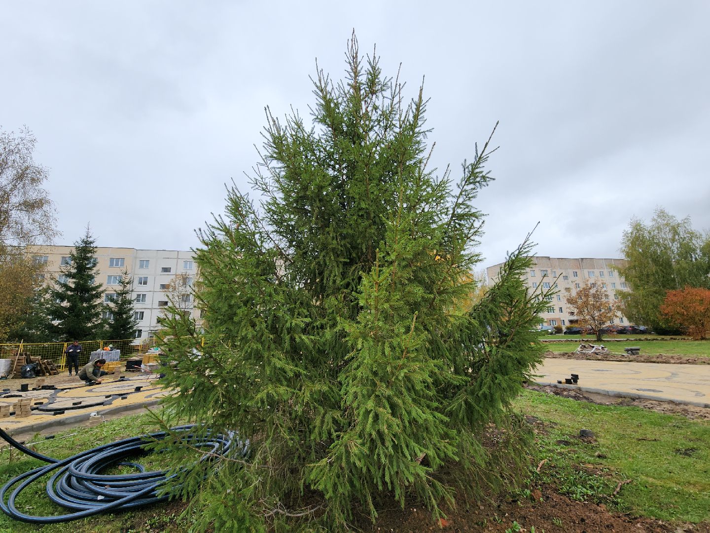 благоустройство, сквер, сквер солнышко, колюбакино, руза, рузский городской округ, московская область, подмосковье,