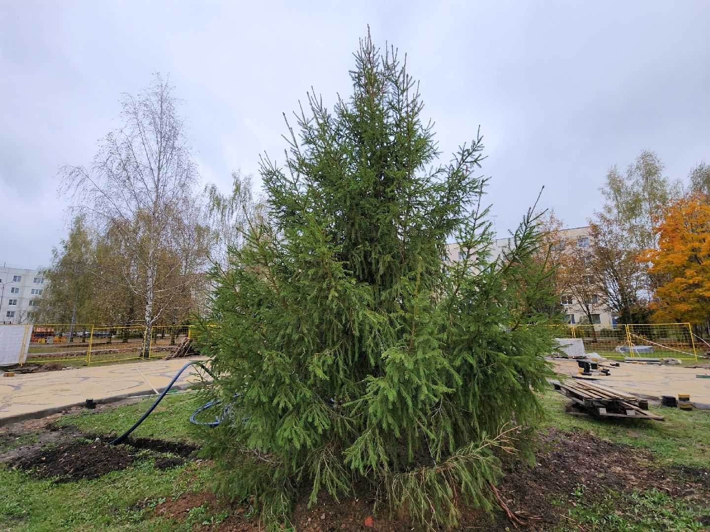 благоустройство, сквер, сквер солнышко, колюбакино, руза, рузский городской округ, московская область, подмосковье,