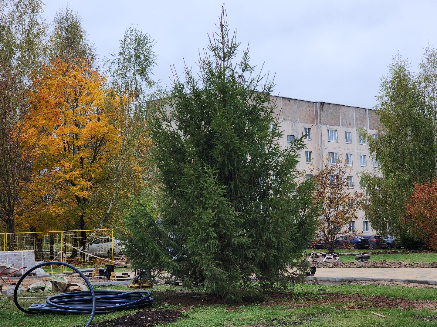 благоустройство, сквер, сквер солнышко, колюбакино, руза, рузский городской округ, московская область, подмосковье,