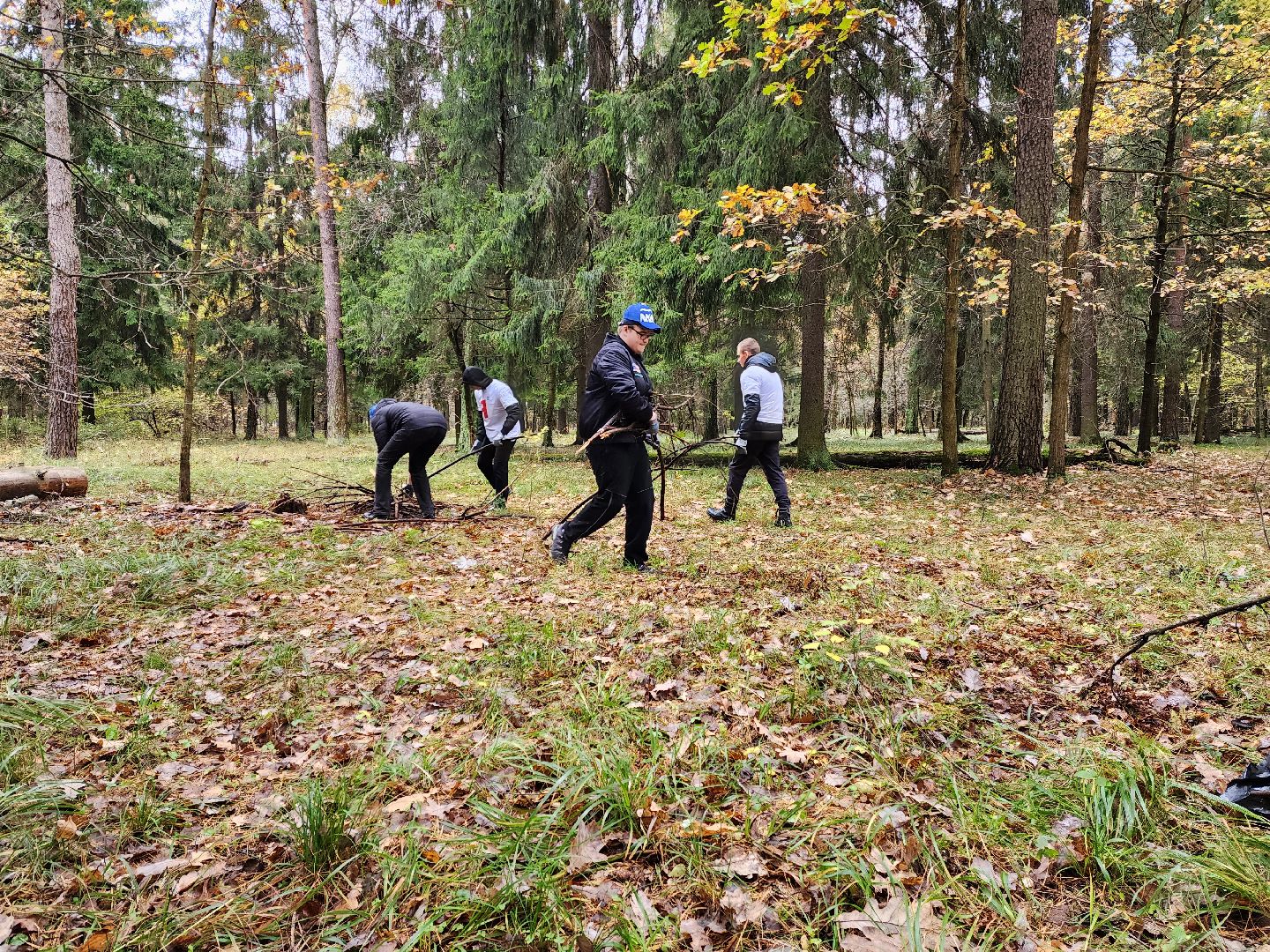раменское, экология, чистый лес, кратово,