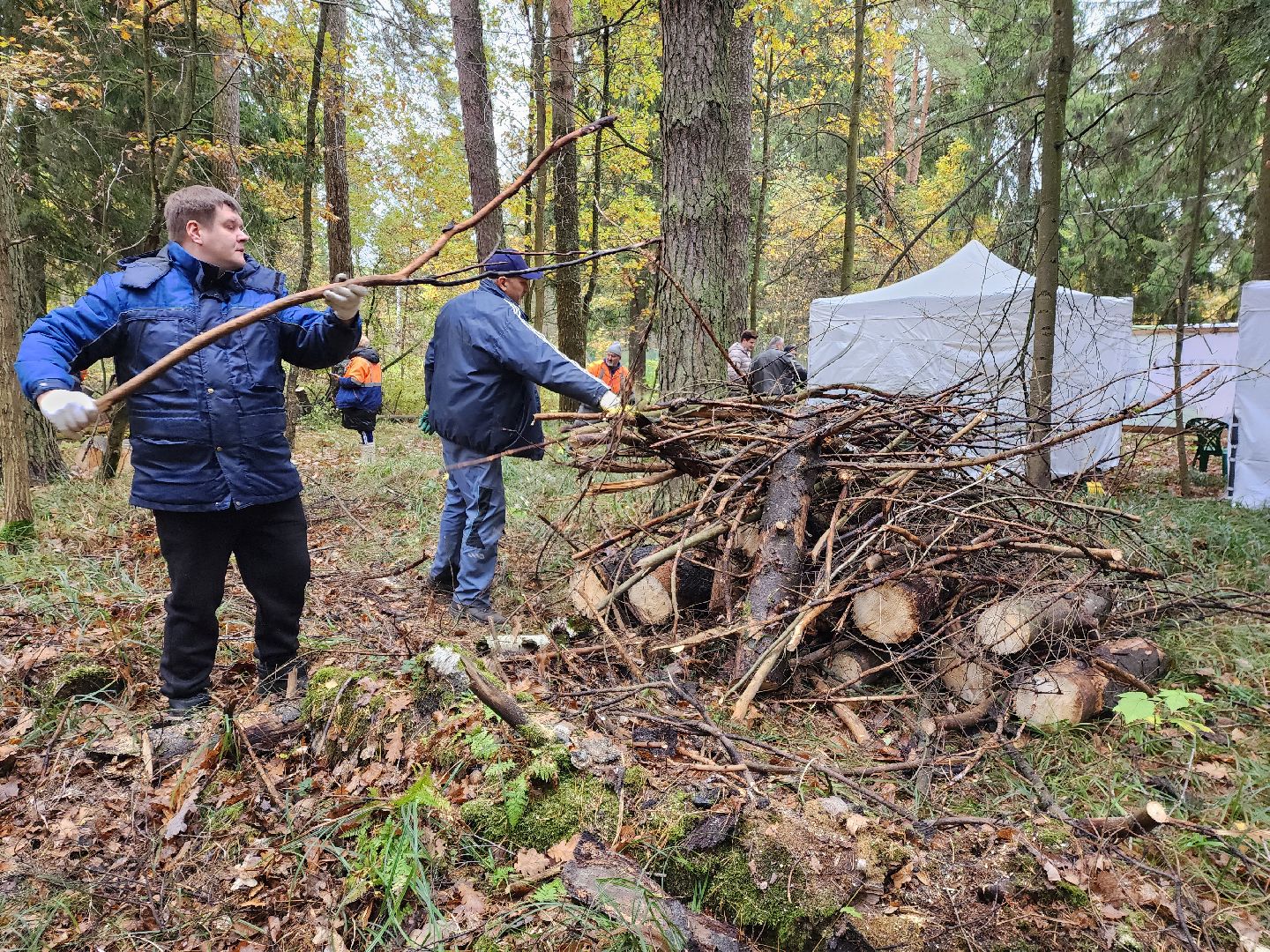 раменское, экология, чистый лес, кратово,