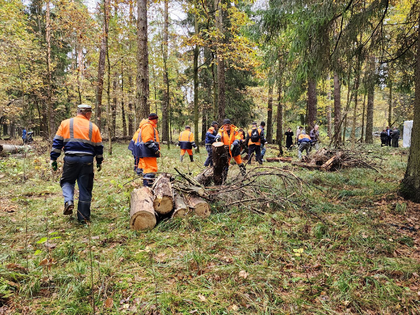 раменское, экология, чистый лес, кратово,