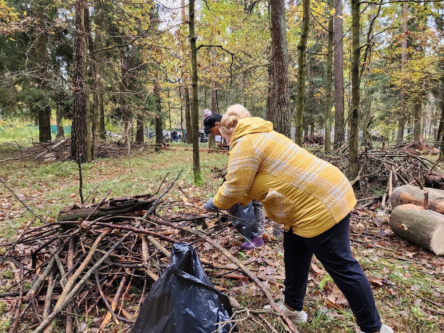 раменское, экология, чистый лес, кратово,