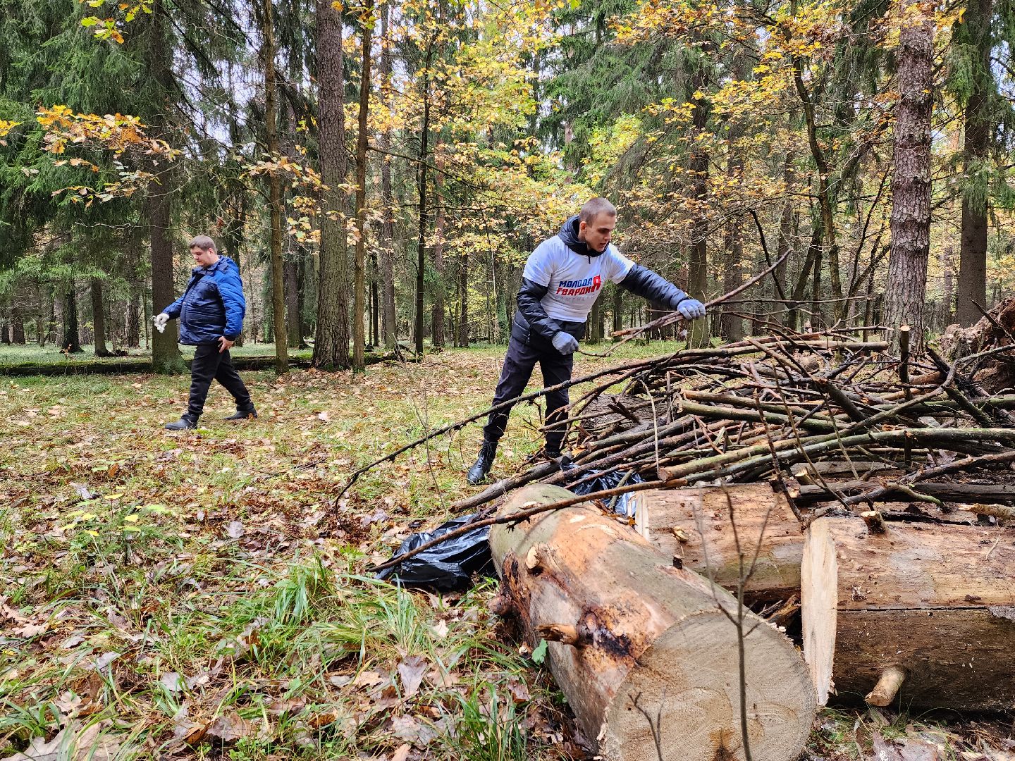 раменское, экология, чистый лес, кратово,
