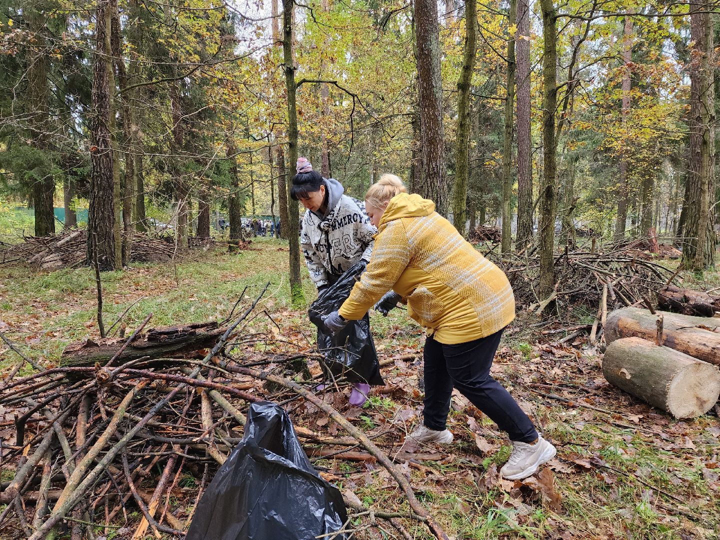 раменское, экология, чистый лес, кратово,
