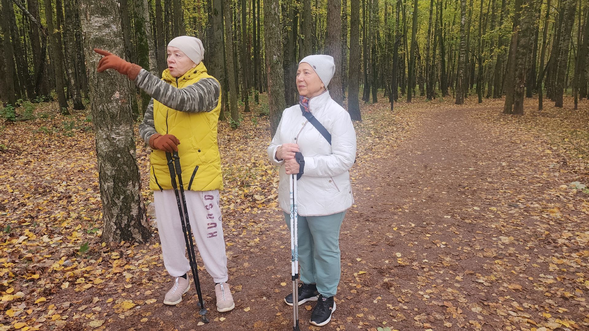 Звенигород, Супоневский лес, Благоустройство,