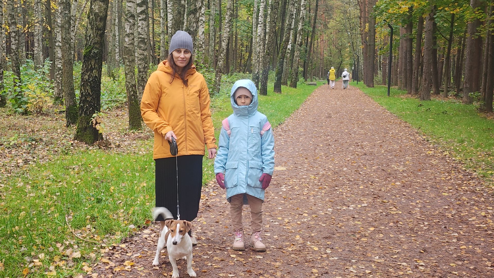 Звенигород, Супоневский лес, Благоустройство,